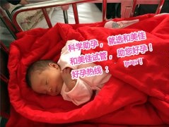 恭喜广州L女士，喜得贵子